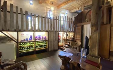 Einfamilienhaus 20 Zimmer - image - 11