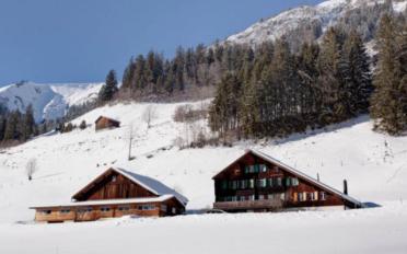 Chalet 8 pièces - image - 2