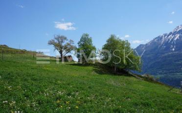 Wohnung 4.5 Zimmer - image - 4