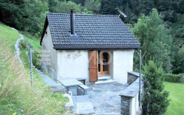 Single house 3 rooms - image - 1