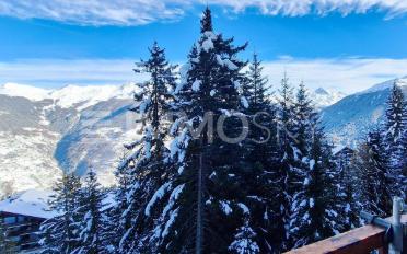 Appartement 1.5 pièces - image - 1