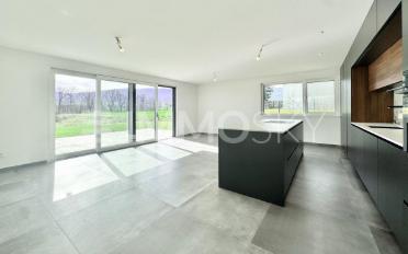 Einfamilienhaus 5.5 Zimmer - image - 3