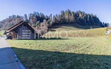 Wohnung 2.5 Zimmer - image - 3