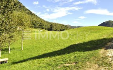 Einfamilienhaus 3.5 Zimmer - image - 5