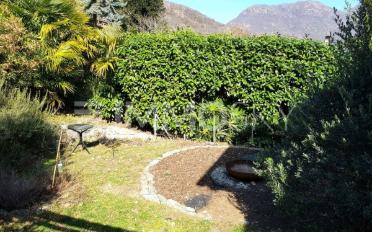 Single house 7 rooms - image - 5