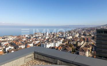 Wohnung 3.5 Zimmer - image - 2