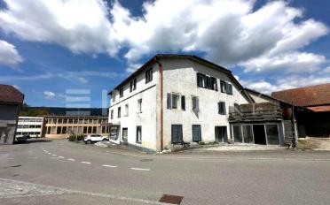 Immeuble mixte 12 pièces - image - 3