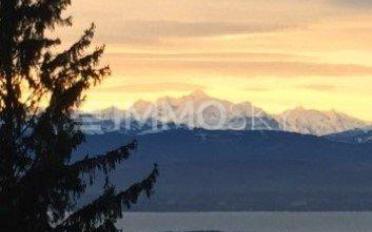 Villa 7.5 pièces - image - 1