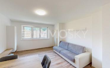 Appartement 2.5 pièces - image - 2