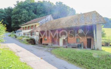 Farm house 9 rooms - image - 2