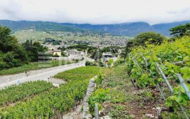 Terrain à bâtir - image - 2