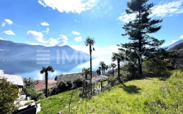 Wohnung 2.5 Zimmer - image - 1