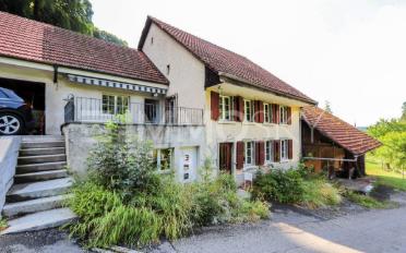 Farm house 9 rooms - image - 2