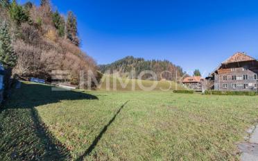 Einfamilienhaus 2.5 Zimmer - image - 3