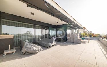 Terrace flat 4.5 rooms - image - 5