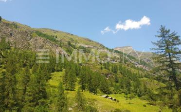 Bauland - image - 4