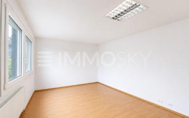 Büro 5 Zimmer - image - 5