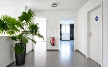 Office 2 rooms - image - 3