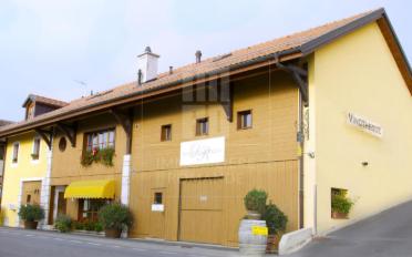 Mixed use property 8 rooms - image - 2
