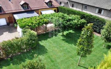 Mixed use property 8 rooms - image - 1