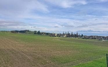 Doppeleinfamilienhaus 5.5 Zimmer - image - 1