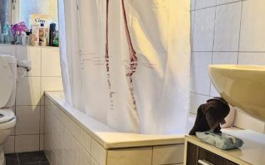 Apartment - image - 10