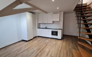 Duplex 2 pièces - image - 1