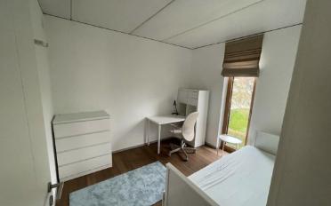 Wohnung 3.5 Zimmer - image - 4