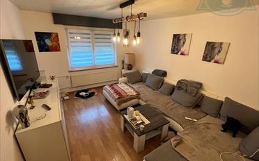 Reihenfamilienhaus 5.5 Zimmer - image - 3