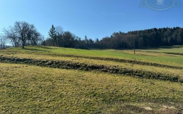 Apartment 4.5 rooms - image - 8