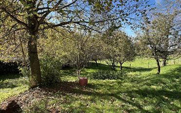 Einfamilienhaus 4 Zimmer - image - 8