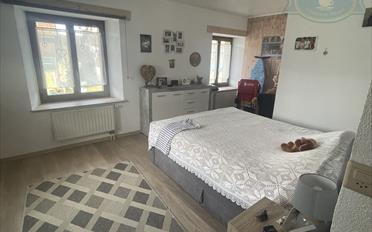 Einfamilienhaus 8 Zimmer - image - 4