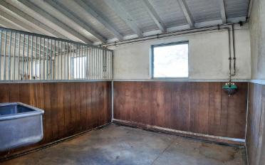 Wohnung 3 Zimmer - image - 13