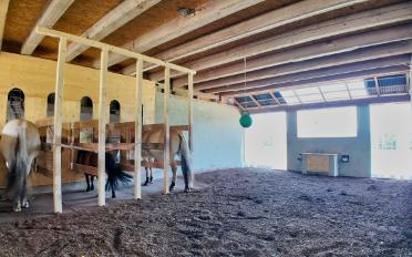 Ferme 6.5 pièces - image - 9