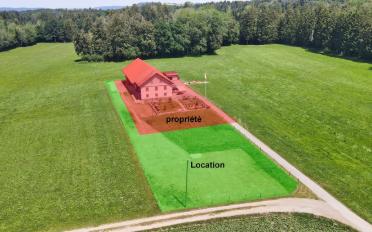 Ferme 6.5 pièces - image - 5