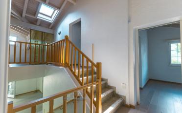 Villa 6.5 Zimmer - image - 17