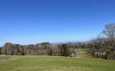 Attique 3.5 pièces - image - 2