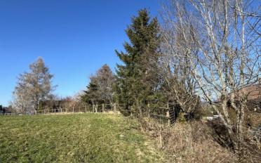 Attique 3.5 pièces - image - 4