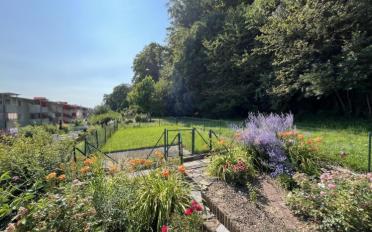 Appartement 4.5 pièces - image - 4