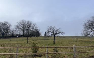 Villa 4.5 Zimmer - image - 1