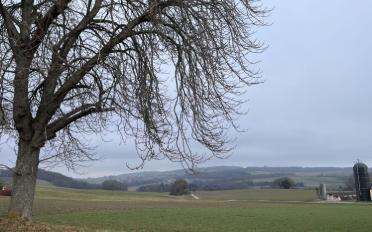 Villa 4.5 Zimmer - image - 12