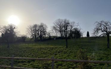 Villa 4.5 Zimmer - image - 7