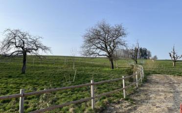 Villa 4.5 Zimmer - image - 12