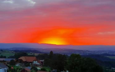 Appartement 3.5 pièces - image - 3