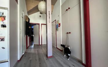 Appartement 3.5 pièces - image - 6