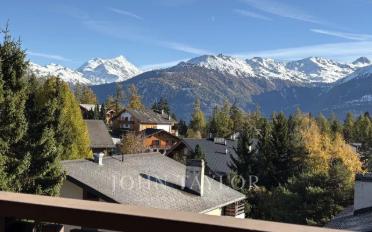 Chalet 9 rooms - image - 12
