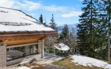 Chalet 10 Zimmer - image - 2