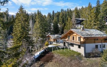Chalet 10 Zimmer - image - 3