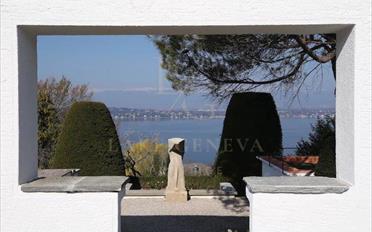 Villa - image - 2