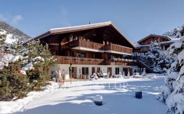 Chalet 12 pièces - image - 1